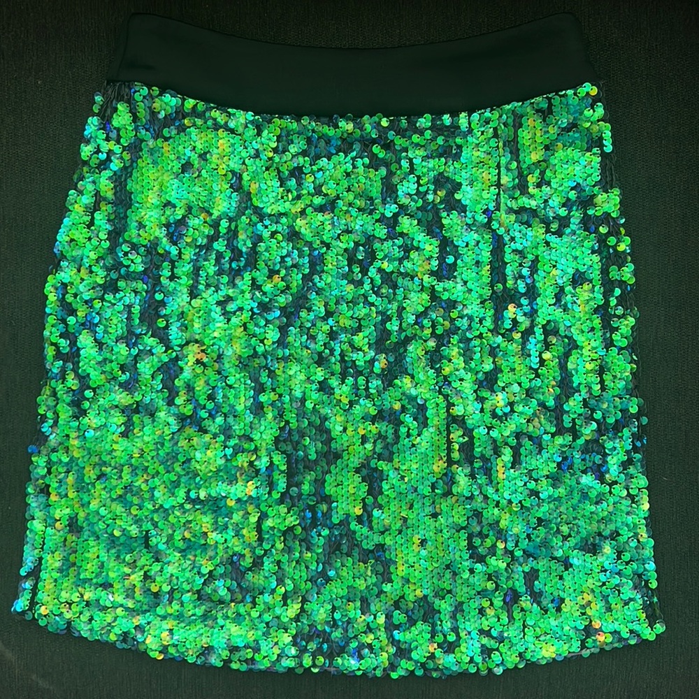 NWOT Premonition Designs Sequin Skirt Size 4/Small 💚💜